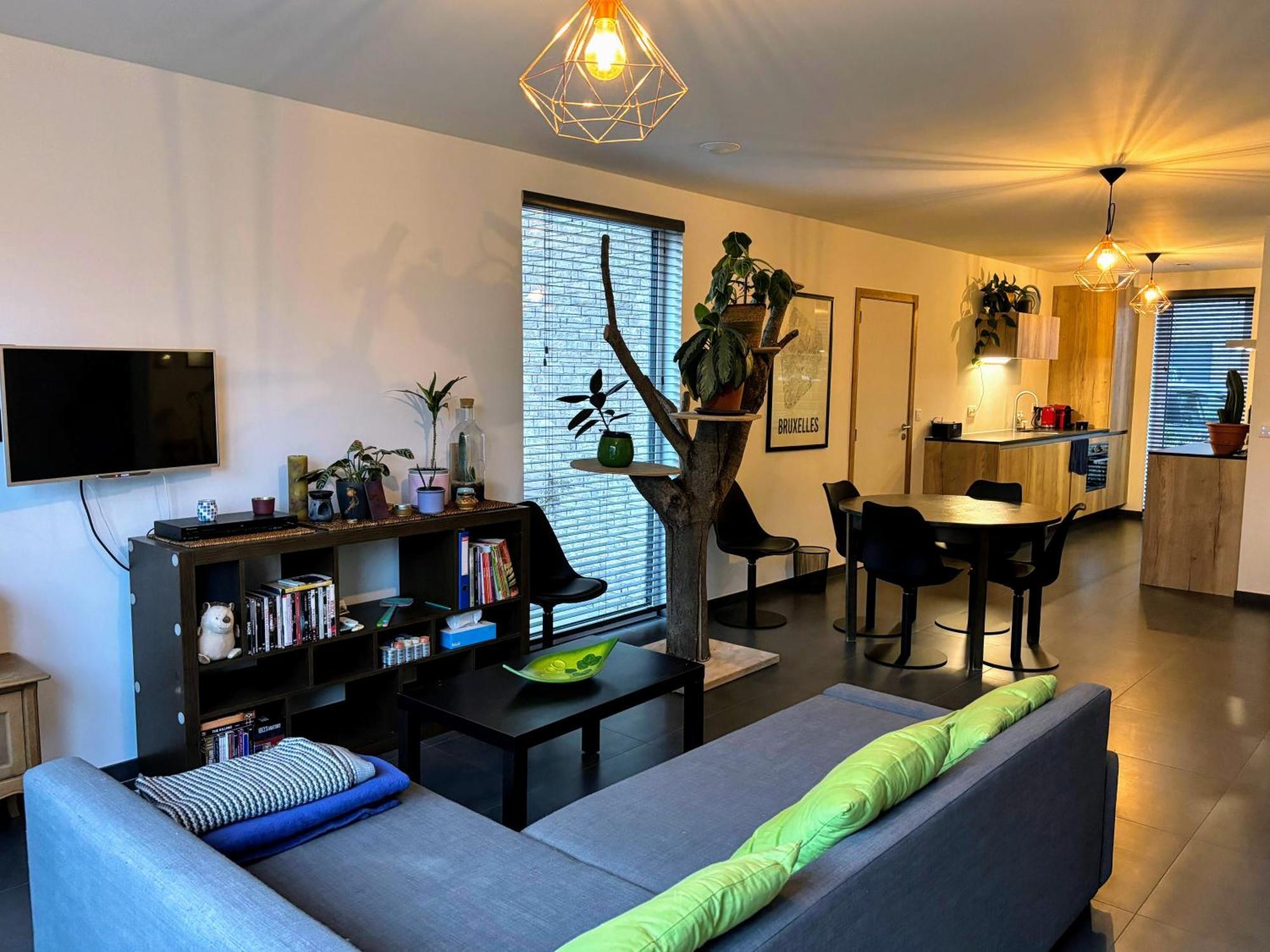 Maison Seigneur Asse Eksteriør billede